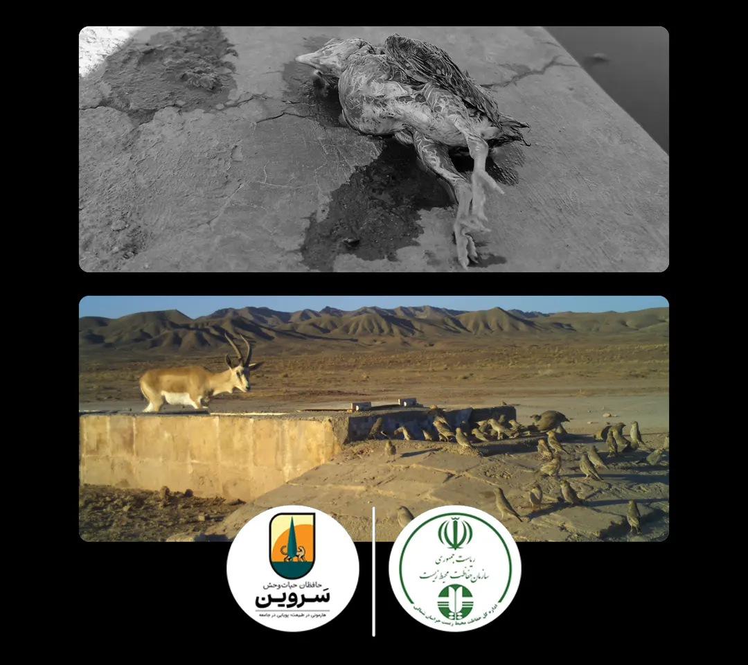 Water for All: Designing and Building a Standard Waterhole for Wildlife