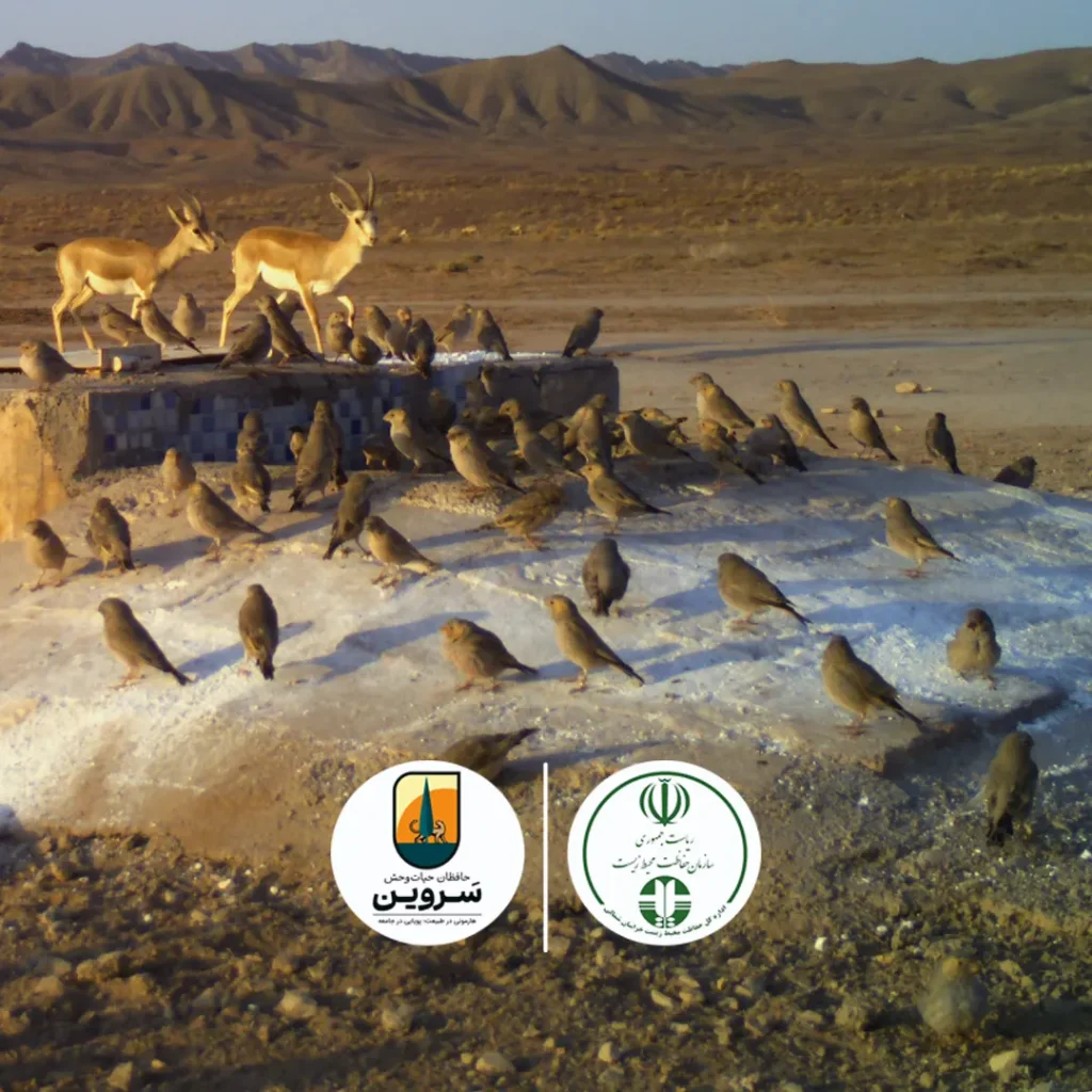 A Standard, Environmentally Friendly Waterhole