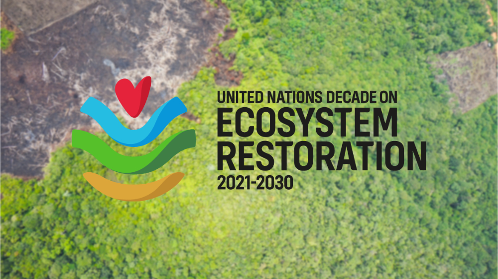 The Decade of Ecosystem Restoration