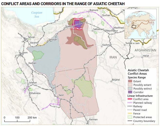 Updated Asiatic Cheetah Habitat Map in Central Asian Mammals Migration and Linear Infrastructure Atlas