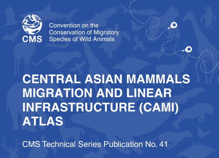 Updated Asiatic Cheetah Habitat Map in Central Asian Mammals Migration and Linear Infrastructure Atlas