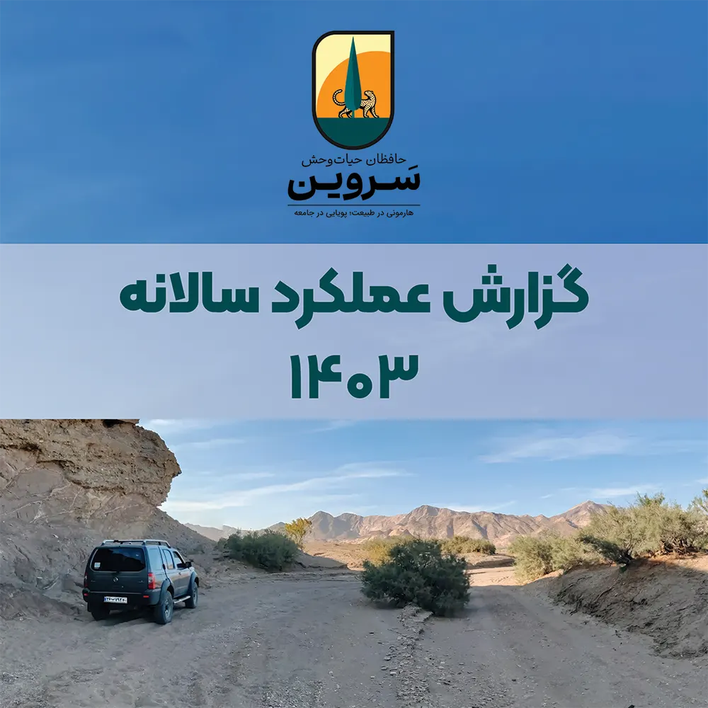 انتشار گزارش عملکرد سال ۱۴۰۳ موسسه
