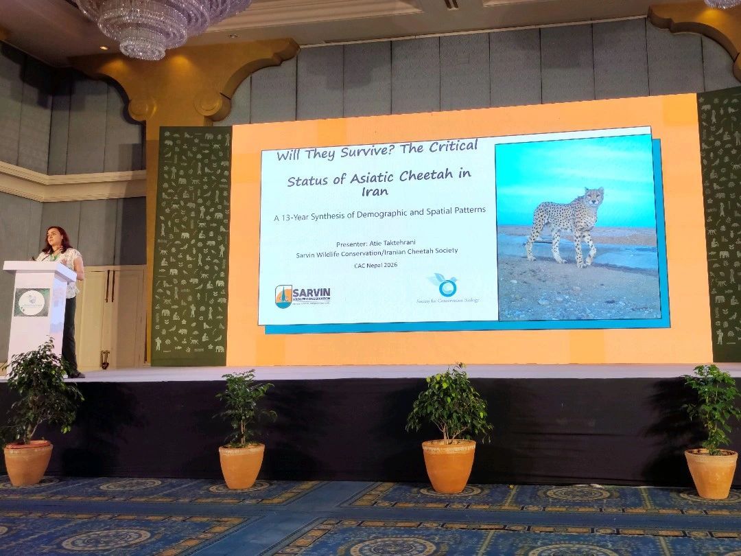 Sarvin Wildlife Conservation Presents at the 6th Conservation Asia Congress (CAC Nepal 2026)
